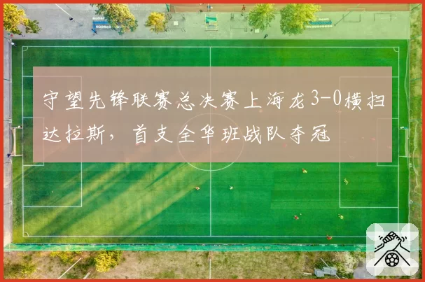 守望先锋联赛总决赛上海龙3-0横扫达拉斯，首支全华班战队夺冠